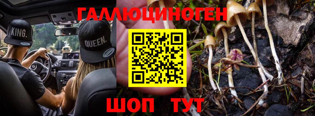 Псилоцибиновые грибы прущие грибы  Галлюциногенные грибы мухоморы  Малоярославец  Вход с VPN 
