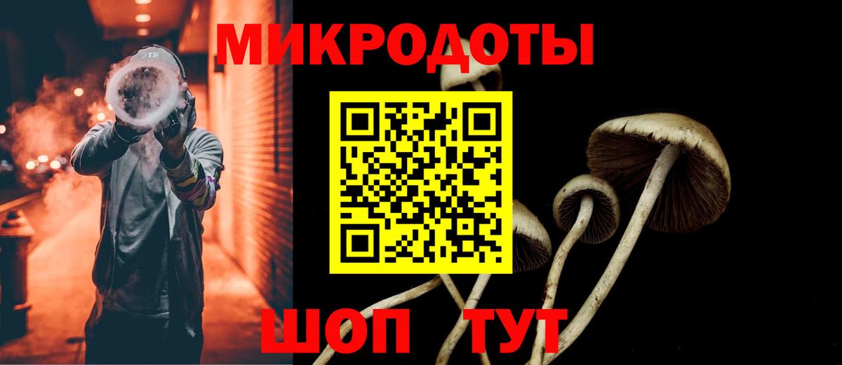 Псилоцибиновые грибы Psilocybine cubensis Малоярославец